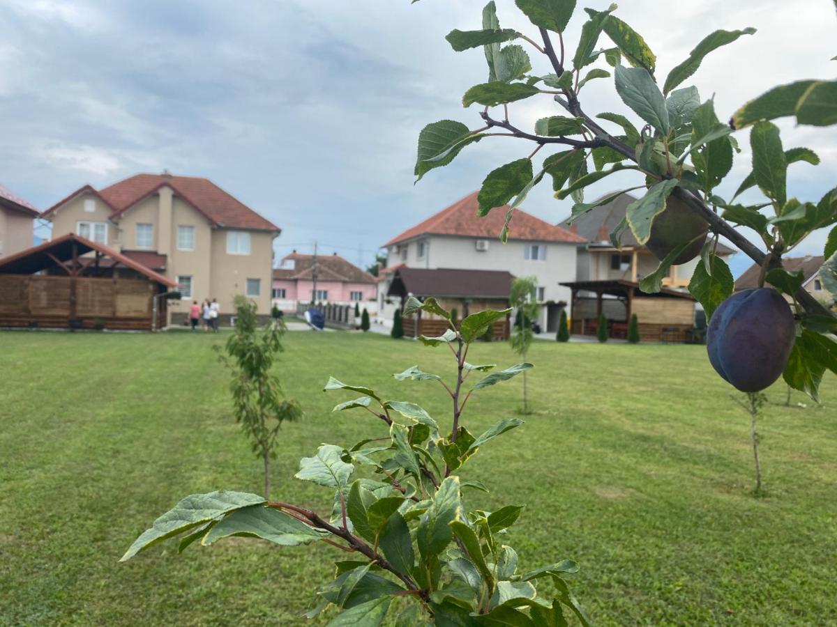 Absolut Residence Хацег Экстерьер фото